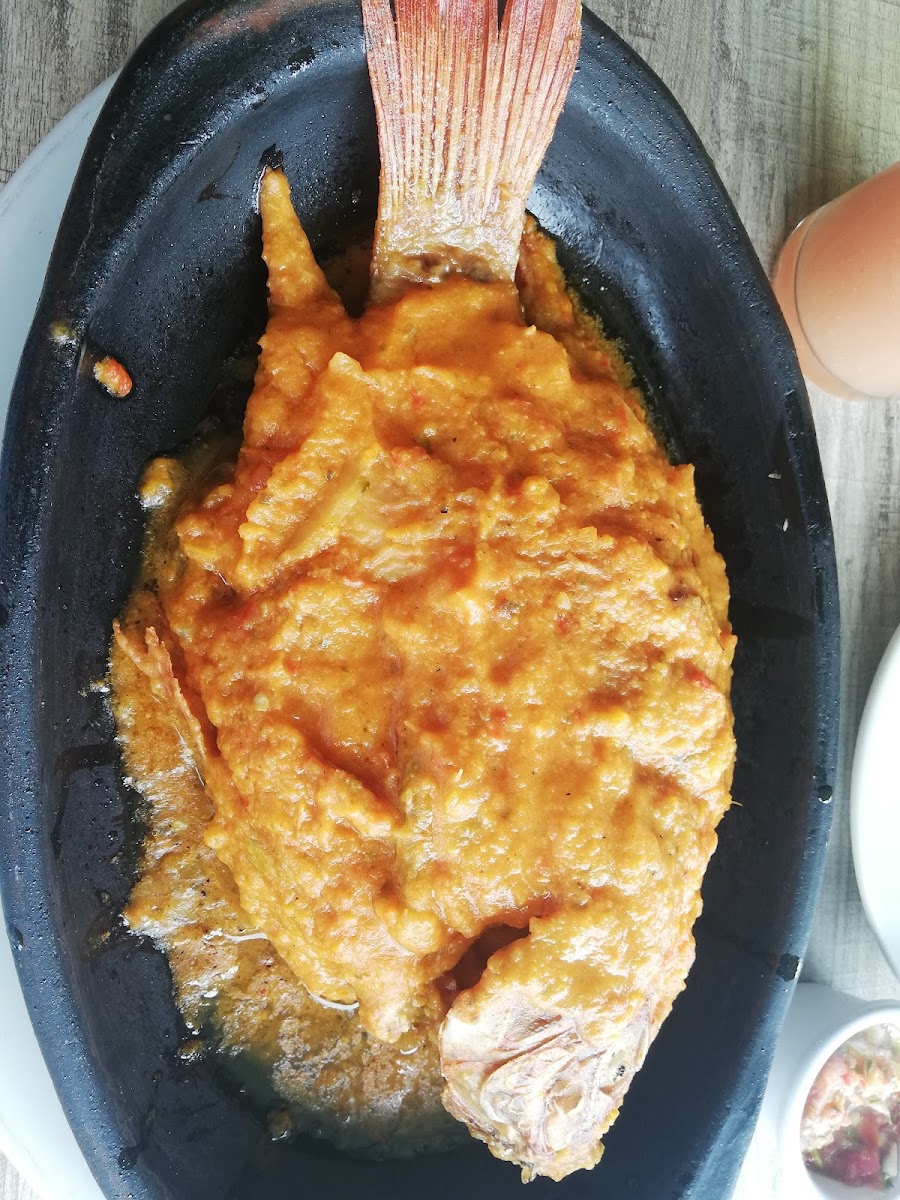 Sabores De Mi Tierra-9